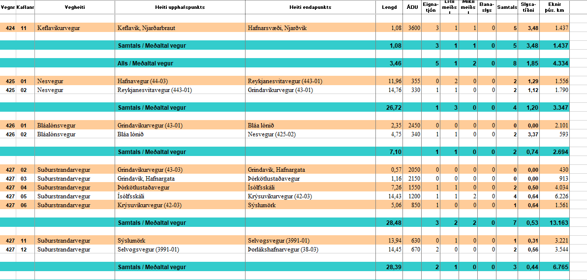 mynd af excel skjalinu slysatíðni 2021