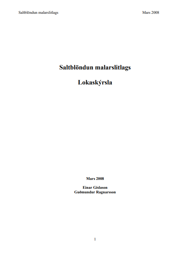 Saltblöndun malarslitlaga Lokaskýrsla 2008