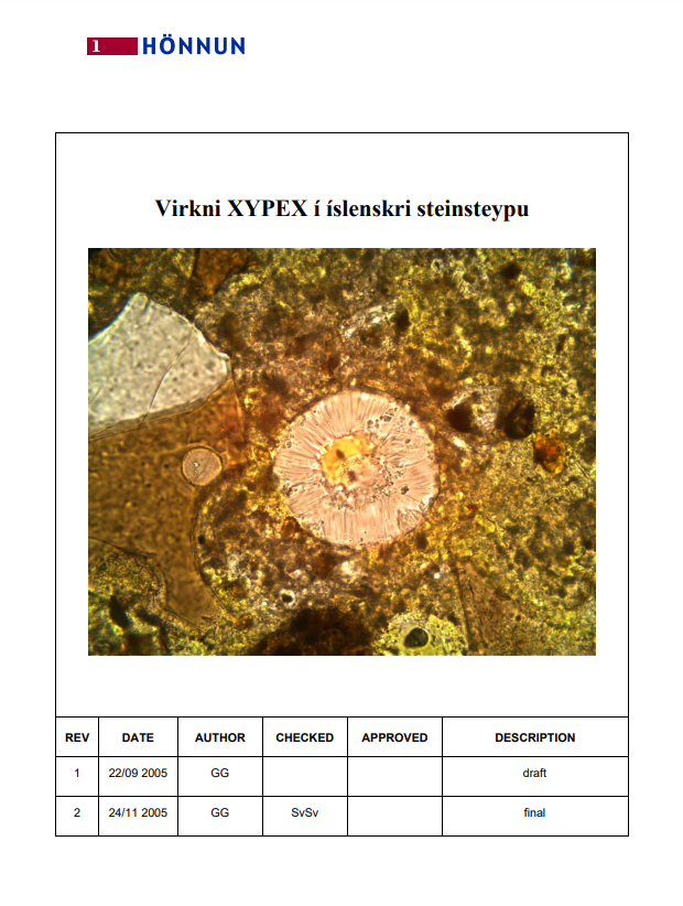 Virkni XYPEX í íslenskri steinsteypu