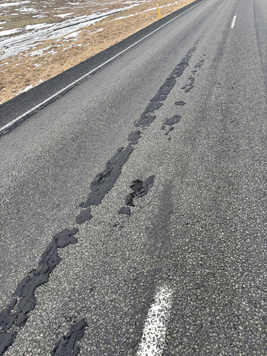 Winter bleed in Western Iceland, February 2025.