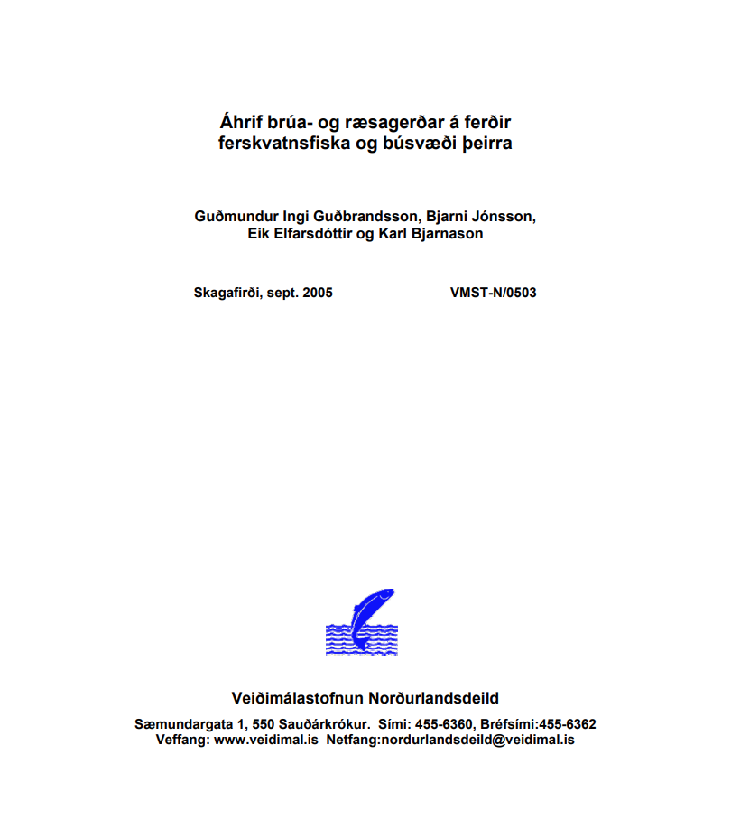 Skjámynd 2025-07-09 111640