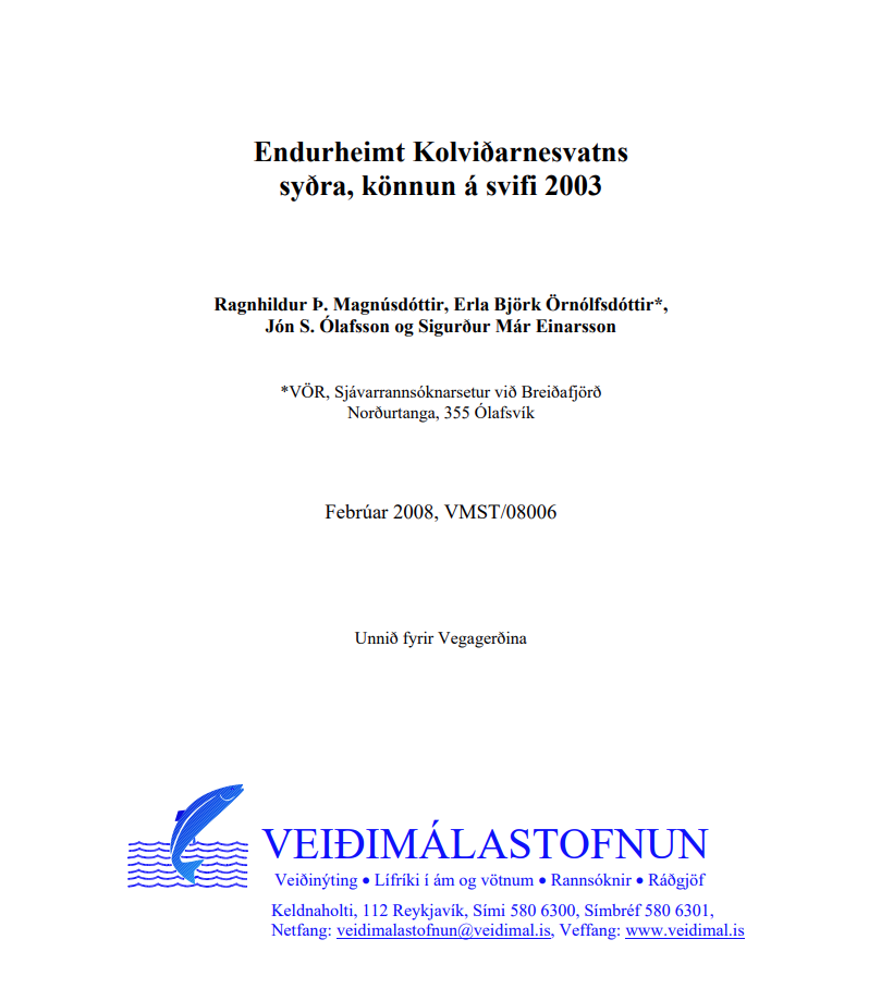 Skjámynd 2025-07-09 134449