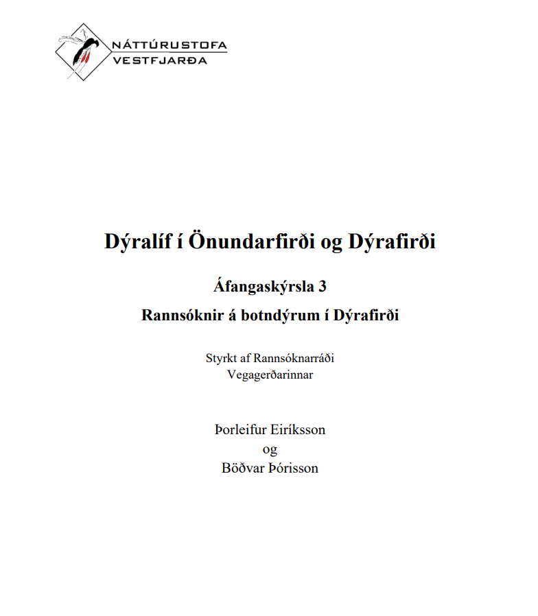 Skjámynd 2025-07-09 135537