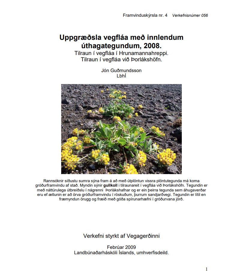 Skjámynd 2025-07-09 141052