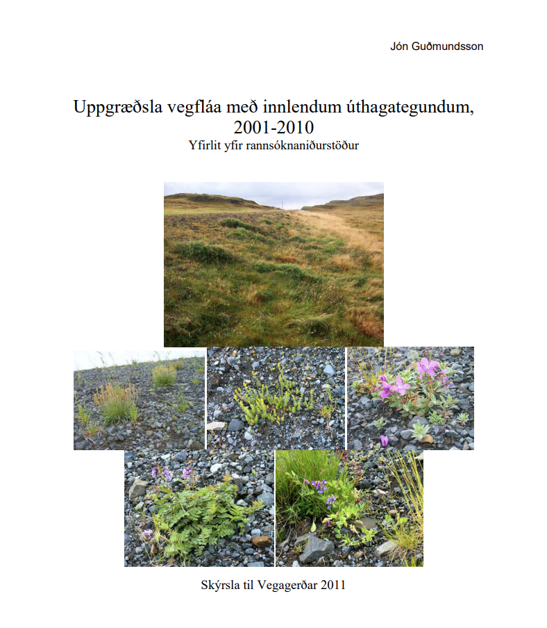 Skjámynd 2025-07-10 102711