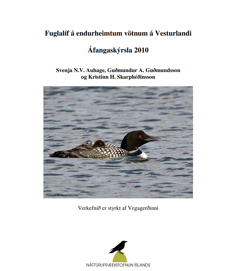 Skjámynd 2025-07-10 103501