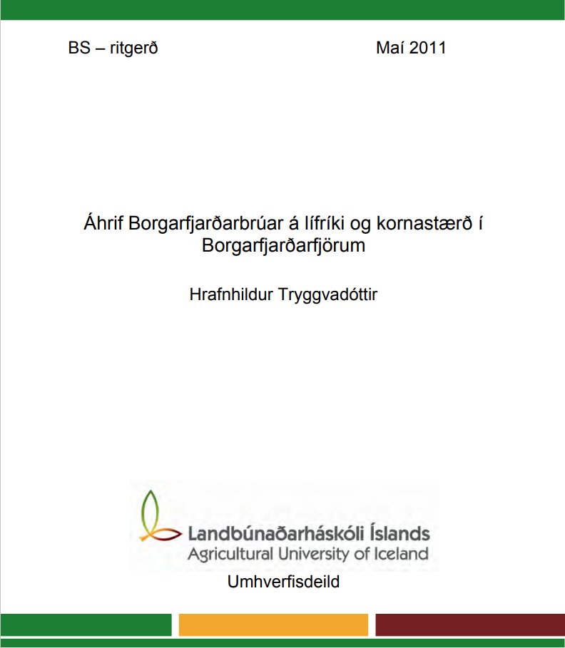Skjámynd 2025-07-10 104017
