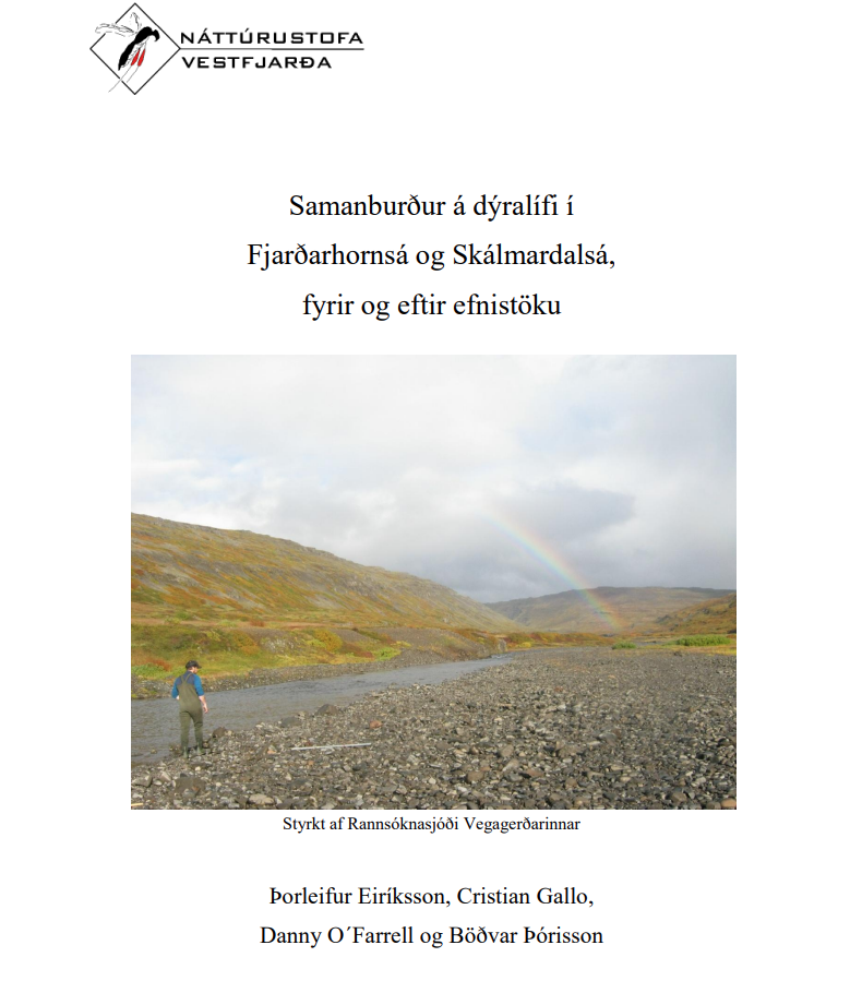 Skjámynd 2025-07-10 111840