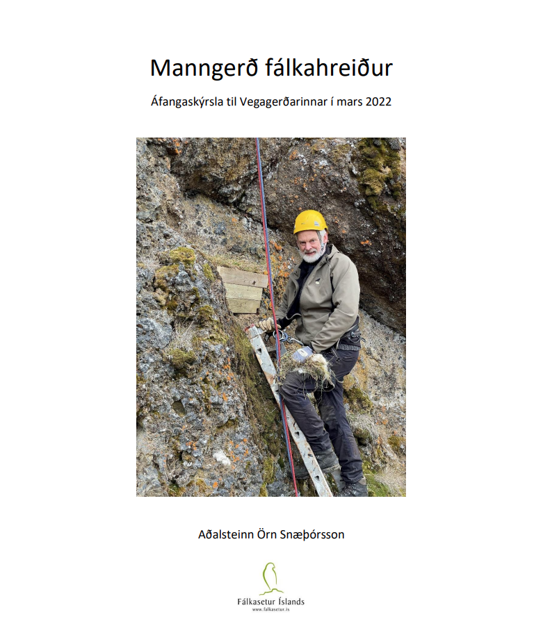 Skjámynd 2025-07-10 140337