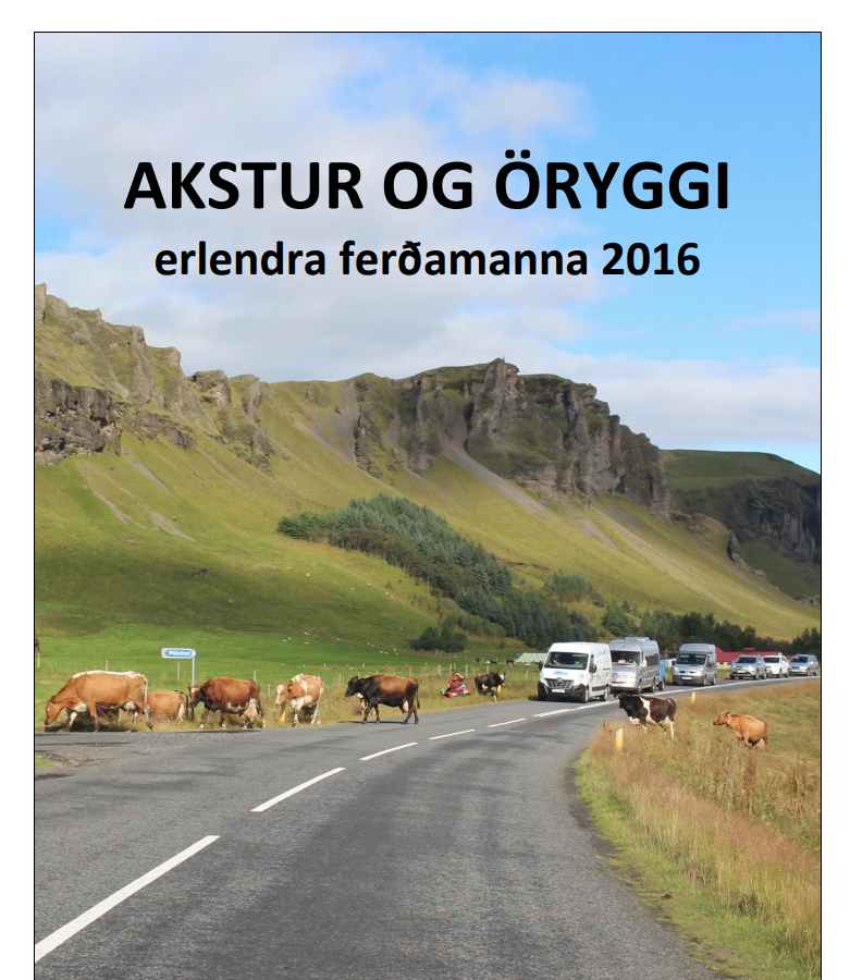 Skjámynd 2025-07-11 135358