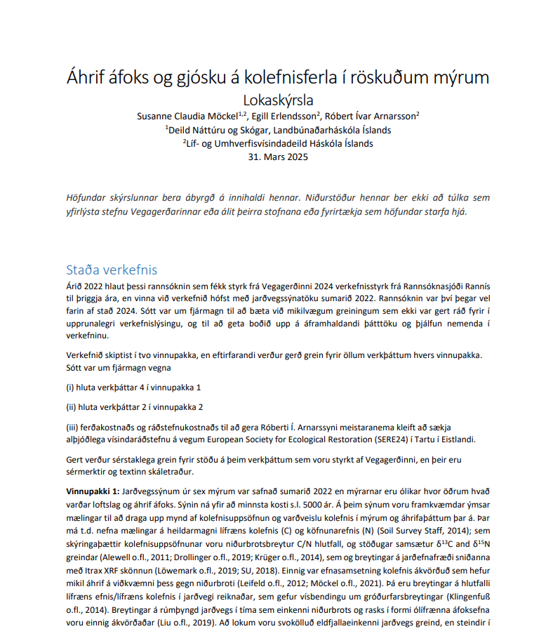 Skjámynd 2025-07-28 111014