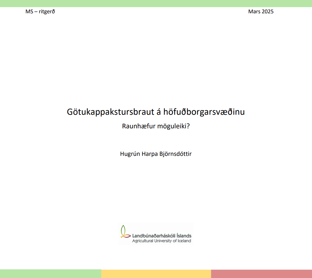 Skjámynd 2025-07-28 112920