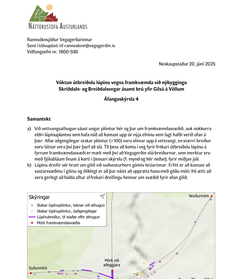 Skjámynd 2025-07-28 133737