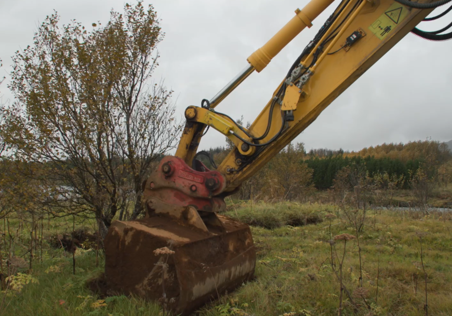 Tré flutt úr Efri-Laugardælaeyju