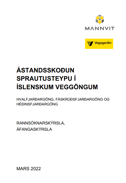 ástandsskoðun