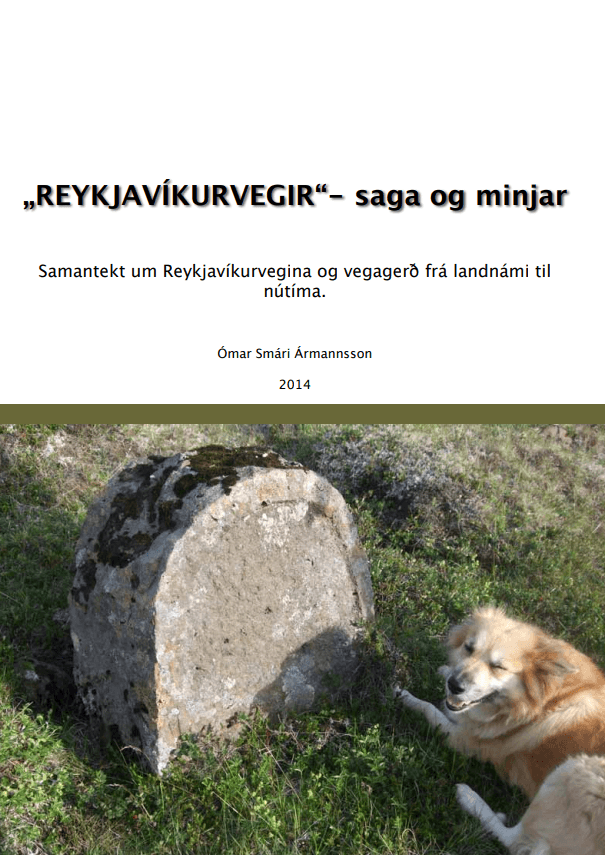 Reykjavíkurvegir - saga og minjar