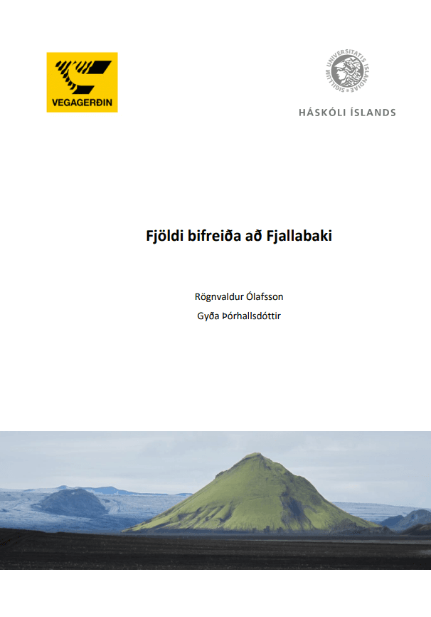 Fjöldi bifreiða að fjallabaki