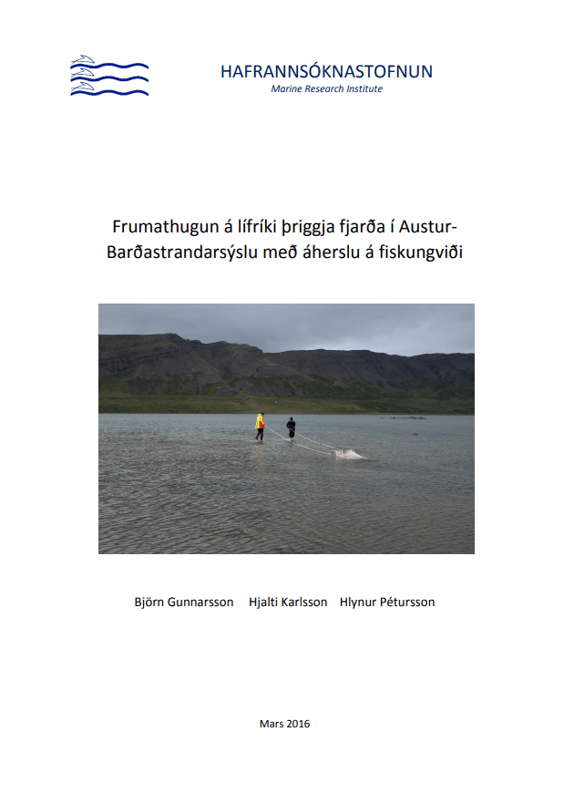 Frumathugun á lífríki þriggja fjarða í Austur-Barðastrandarsýslu með áherslu á fiskungviði