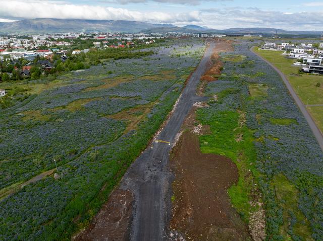 Arnarnesvegur 4. júlí 2024