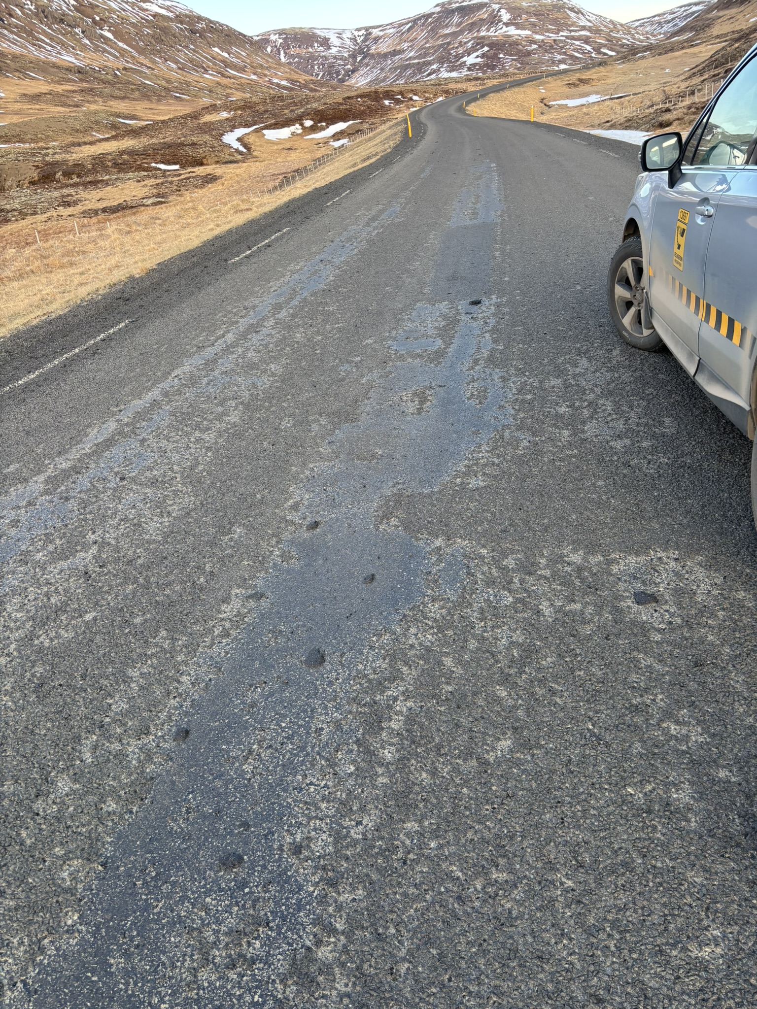 Winter bleed in Western Iceland, February 2025.